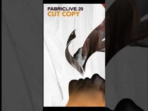 fabriclive 29 - Cut Copy. #electro #djmix #djculture #cdcollection #australianmusic #dancemusic