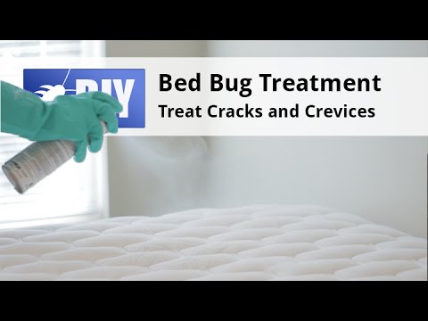  Bed Bug Treatment Step 3 Video 