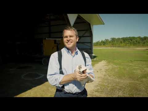 How the Light Gets In