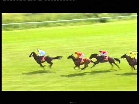 2006 Intercasino.co.uk Conditions Stakes