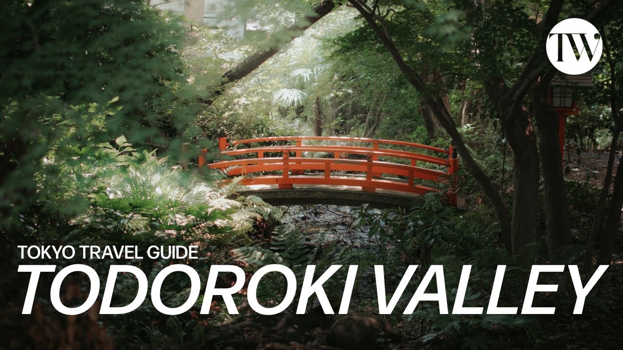 Discover the Captivating Highlights of Todoroki Valley!