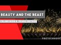 Beauty And The Beast Celine Dion Peabo Bryson FWSim