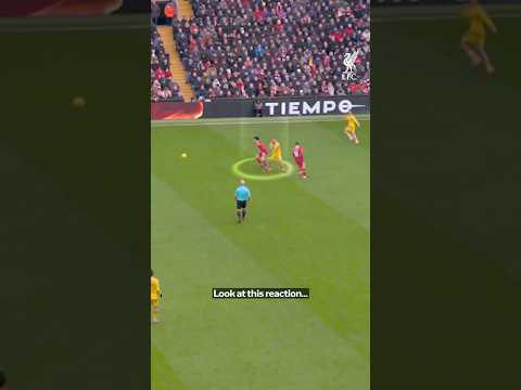 🇯🇵 Wataru Endo ❤️