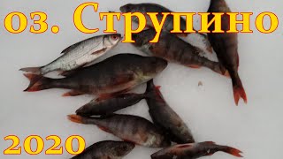 Рыбалка в петрокрепости 31 июля 2020г