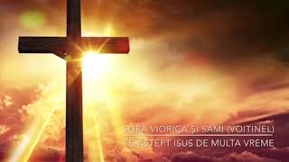 Download lagu Te-aştept Isus de multă vreme..Sora Viorica Voitinel! mp3