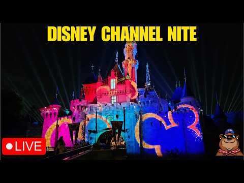 Live webcam of Koda Bear the Explorer 