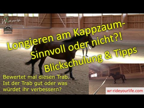 F148 Is lunging with a cavesson useful? Mistakes, purpose, training your eye, and tips for lunging