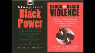"We must study and teach our people tribalism" - Amos Wilson