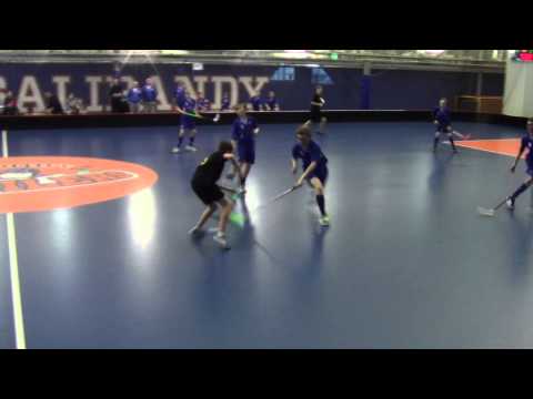 M-Team vs Indians, D1-jatkosarja, 2015-03-29, erä 2