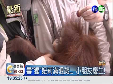 為壽"猩"慶生... 妞莉生日快樂!