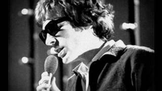 The Girls And The Dogs