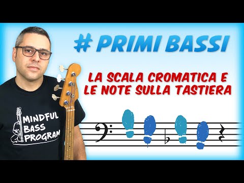 Bass Lessons - 06 - The chromatic scale and notes on the fretboard - Fabio Testa