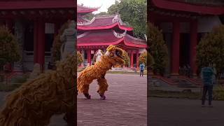 Download lagu Sam Poo Kong Wisata Semarang #barongsai #wisatasemarang #sampookong #jawatengah #semarang #jalan mp3 Download lagu Sam Poo Kong Wisata Semarang #barongsai #wisatasemarang #sampookong #jawatengah #semarang #jalan mp3