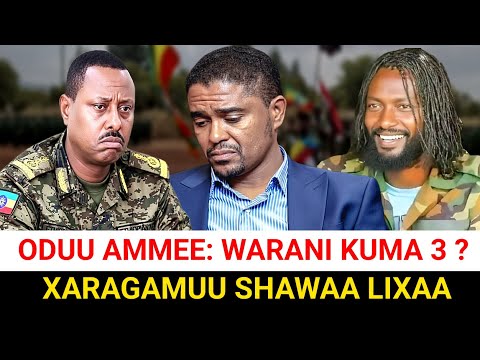 Shimallis vs WBO: Oromiyaa keessatti Maltuu ta'e? | Moha Oromo 