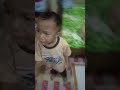 Aslan Lucu Imut