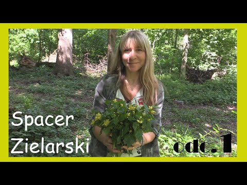 NEW SERIES | HERBAL WALK WITH BARBARA KAZANA | episode 1