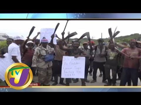 TVJ News: Sugar Industry Has Not been  Abandonded - June 5 2019