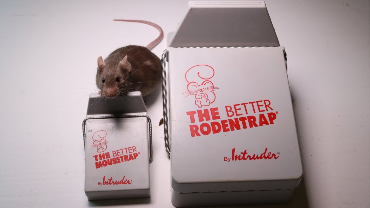 The Better Mousetrap & Rodent Trap Made By Intruder - Major Rat Fail