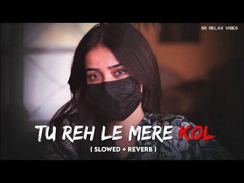 Sun Le Ve Mere Dil Janiya ( Slowed & Reverb ) - Lofi Song