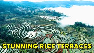 The HIDDEN SECRETS of China's Most Breathtaking RICE TERRACES - Honghe Hani China
