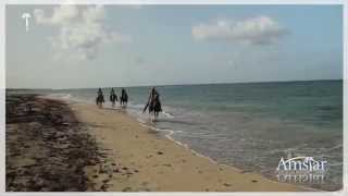 Horseback Riding Tour Punta Cana  | Amstar Dominican