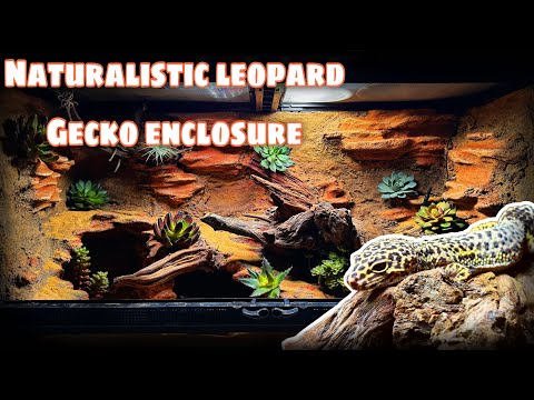 Making a naturalistic leopard gecko setup