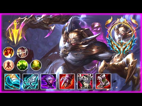 WARWICK MONTAGE 2025 - BEST PLAYS