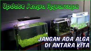 Update Semua Aquascape (6 Tank) di Rumah Saya