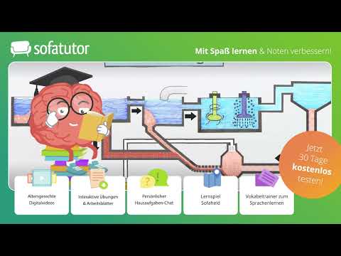 Wohin geht das Wasser aus der Toilette? einfach erklärt – Sachunterricht 3. & 4. Klasse