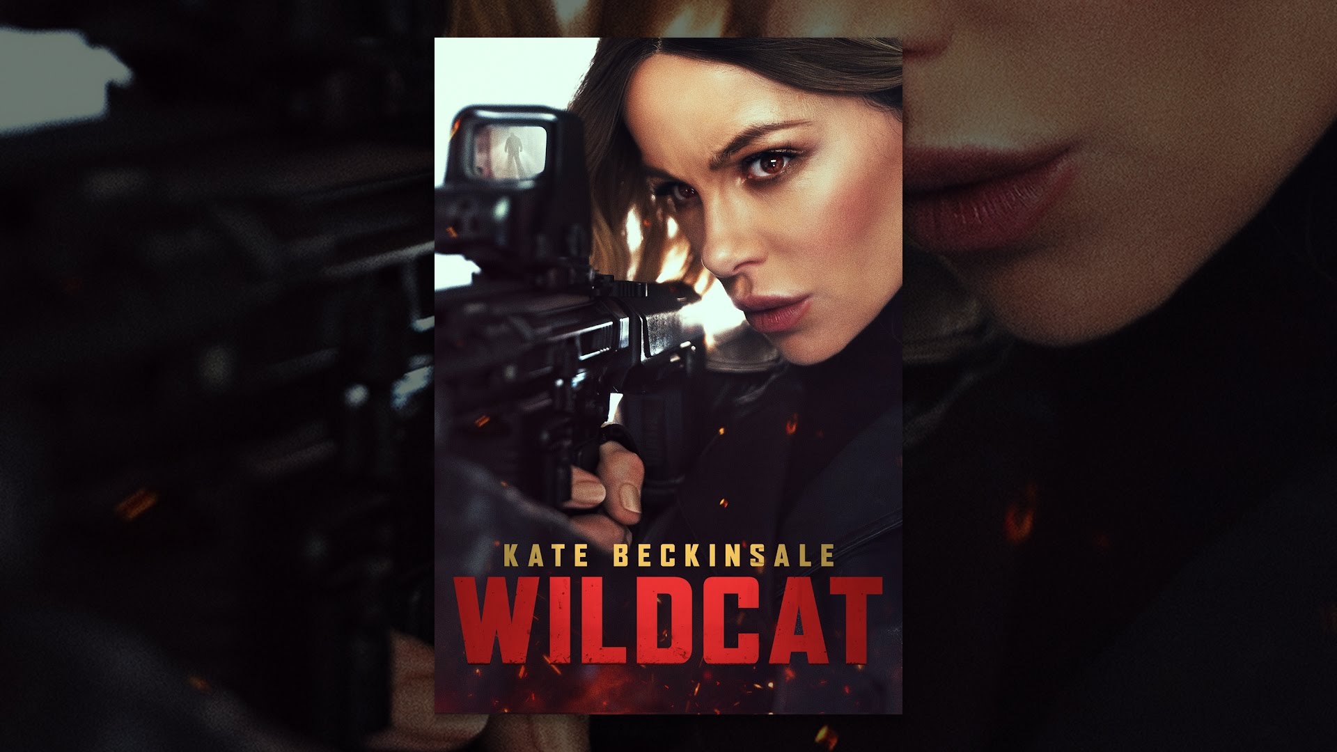 Wildcat