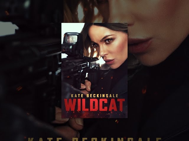 Wildcat