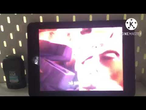 Kung Fu Shark Puppet Part 9 - Shark Puppet Dosent Belong/David’s Wisdom