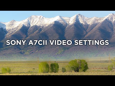 Staffa A L NICEYRIG Per Sony A7C / ILCE-7CM2 / ILCE-7CR – Supporto Universale