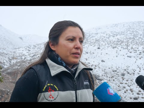 Portada video