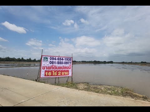 ขายที่ดินแปลงสวย ใกล้วัดนาคราช บางพลีน้อย บางบ่อ สมุทรปราการ – รูปที่ 2
