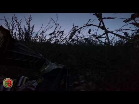 ATC Ambush Viet Cong Style