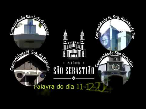 Palavra do dia 11-12-2024 Padre José Napoleão scj