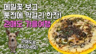 preview picture of video ''가고싶은섬' 미숙씨의 관매도 가을여행 [섬섬썸]'