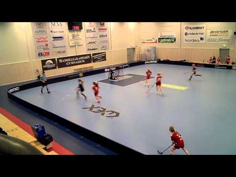 Lindås IBK F00 130127 Lindås - Lerum i X3M Arena 3e Perioden