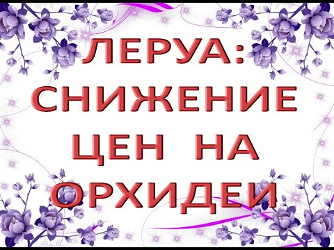 Леруа:СНИЖЕНИЕ цен на ОРХИДЕИ!!!27.05.22,Самара,ТЦ "Космопорт",Дыбенко 30.