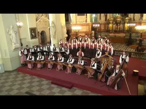 VU Ansamblis - Žuvų šakelė [Šv. Jonų bažnyčia]