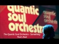 The Quantic Soul Orchestra - Something That's Real HD