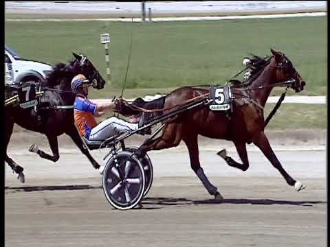 Trotto 13/06/2019 - 1ª corsa