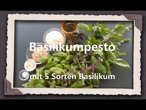 Baslikumpesto mit 5 Sorten Basilikum