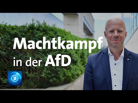 Machtkampf in der AfD: Streit über Kalbitz' Parteimitgliedschaft