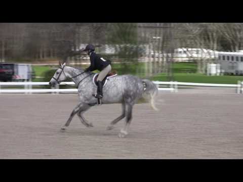 Video of CANCARA ridden by GENIE HARPER from ShowNet!