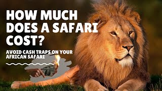 African Safari Cost. (A Detailed Analysis)