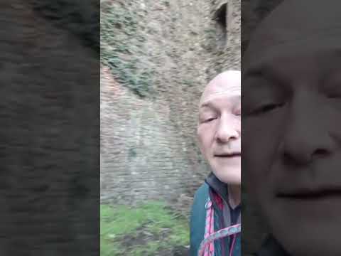 Quello che con uno sguardo poco attento non vedi, passeggiando per il borgo di Savignano sul Panaro