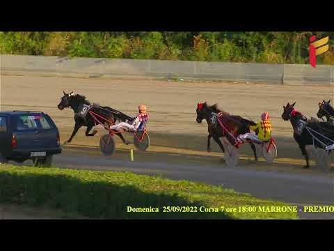 VII corsa del 25 settembre 2022 - 5 anni ed oltre - Metri 1600