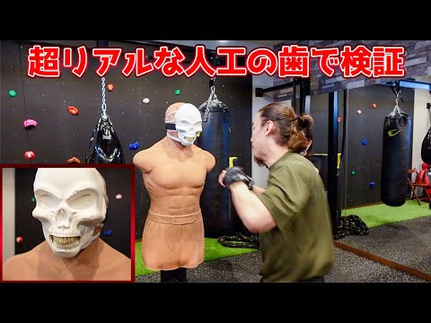 【衝撃】格闘家が本気で殴ったら人の歯は何本折れるのか